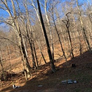 Meet your Posher, Steve